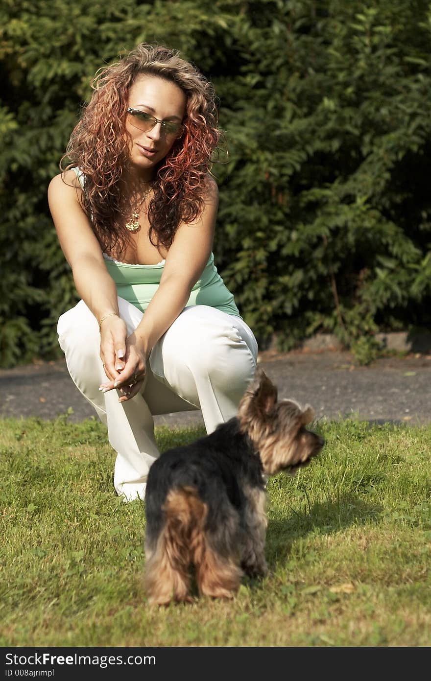 Young woman with little dog - yorkshire. Young woman with little dog - yorkshire.