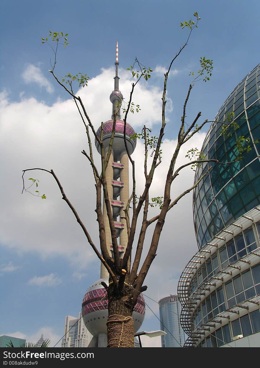 Buildings at Shanghai, convention center and pearl TV tower. Buildings at Shanghai, convention center and pearl TV tower