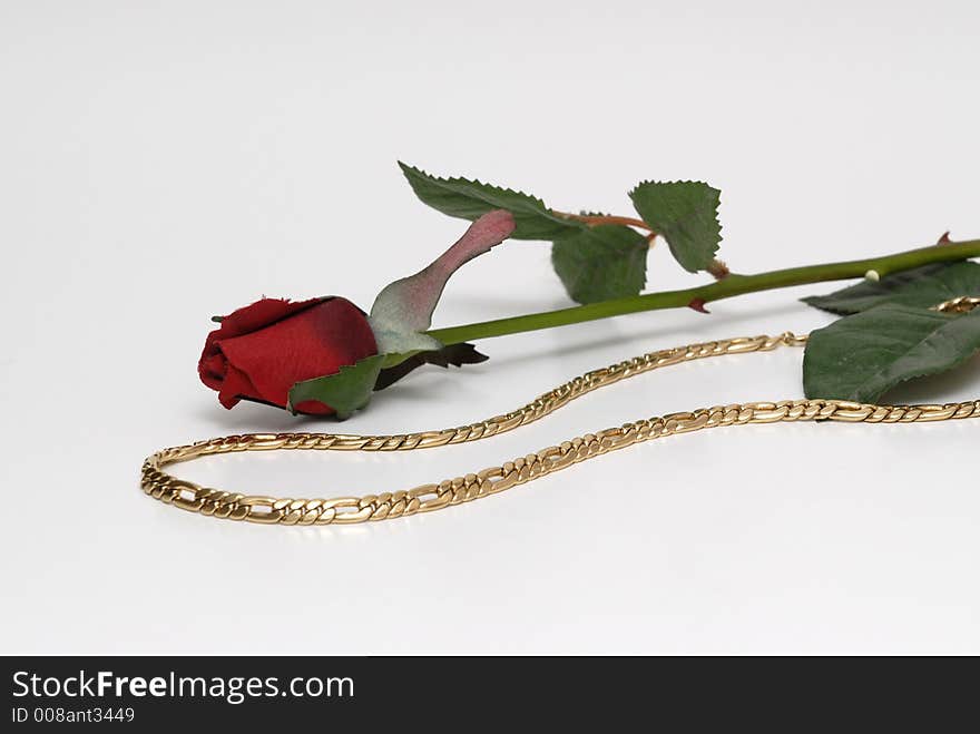 Gold chain and red rose in a white background