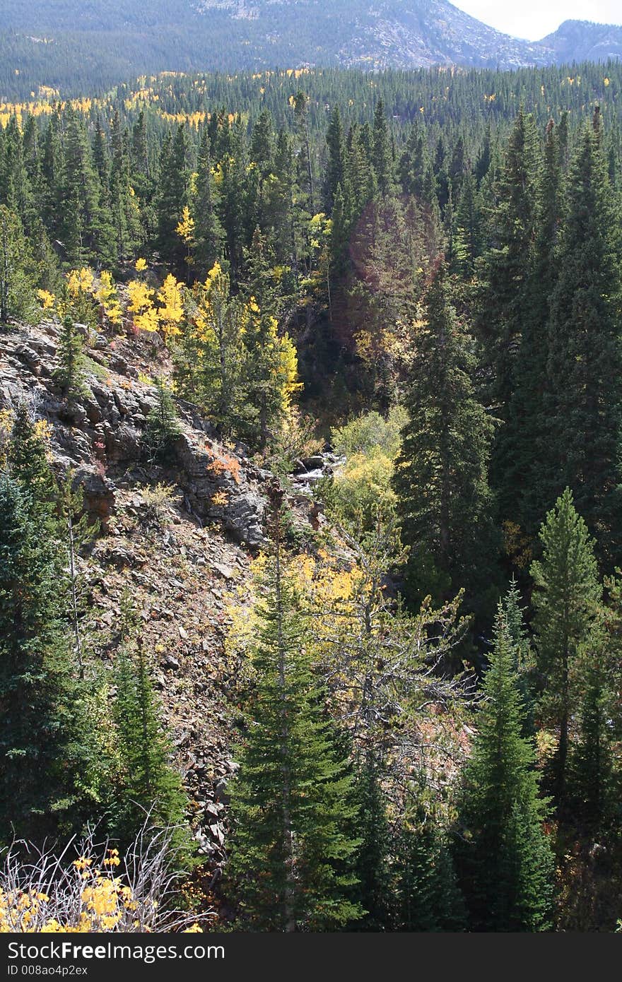 Canyon in the rocky mountains. Canyon in the rocky mountains