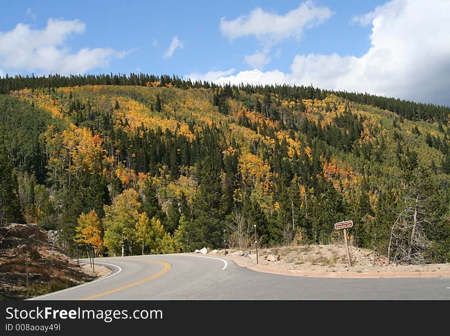 Mountains side of aspens and furs