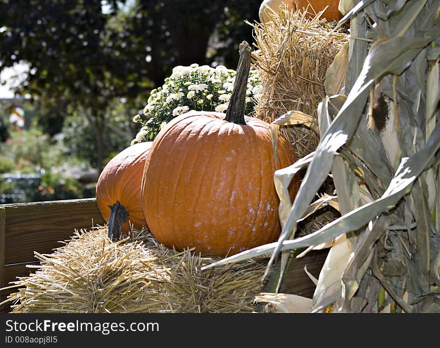 A display of hay, pumpkins, dried corn stalks, mums in a wooden wagon. A display of hay, pumpkins, dried corn stalks, mums in a wooden wagon.