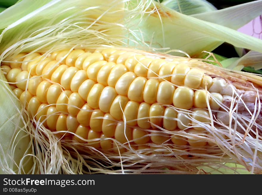 Fresh peeled cobs of corn. Fresh peeled cobs of corn