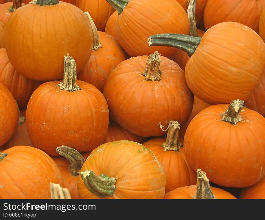 Freshly picked pumpkins in early autumn. Freshly picked pumpkins in early autumn.