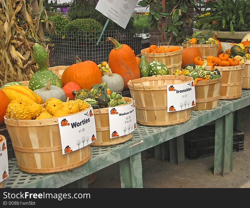 Autumn Market