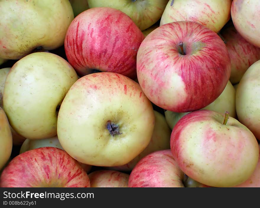 A lot of red  ripe apples