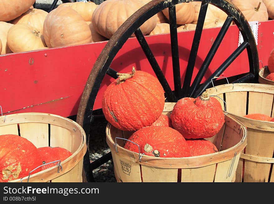 Pumpkins and squash at a roadside stand