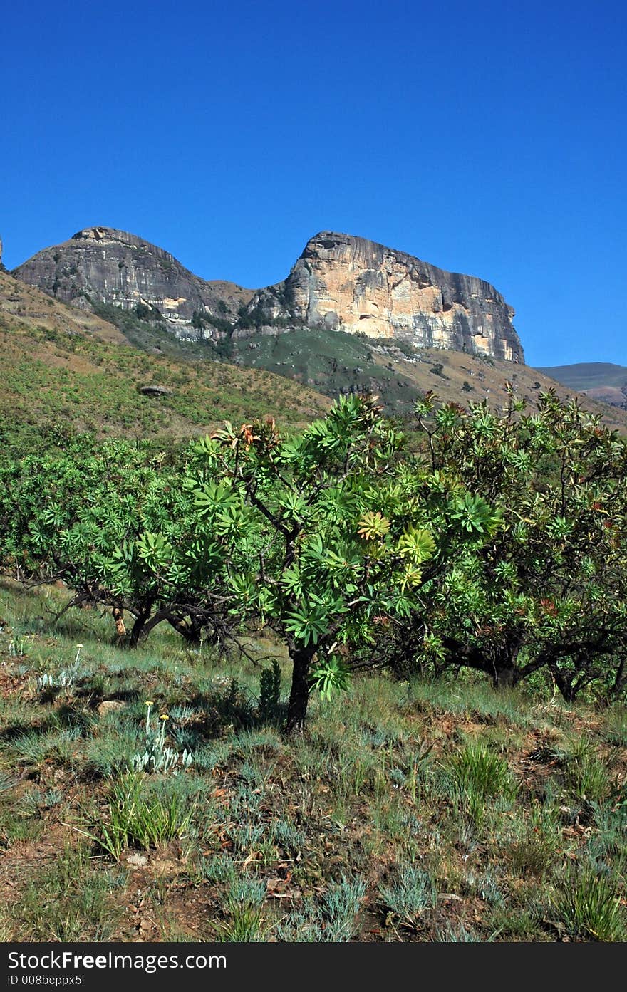 A Mountain Scene.