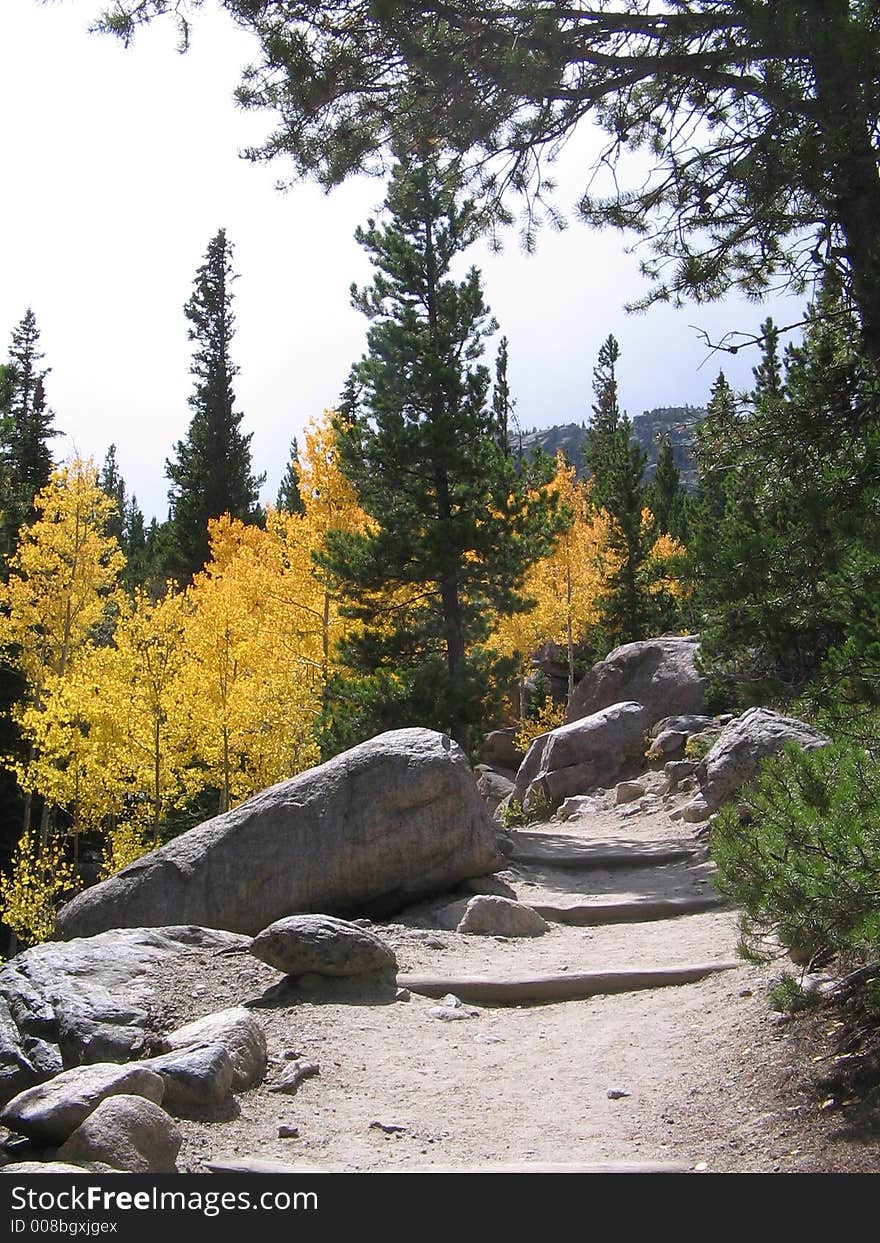 Trail leading to mountain overlook in national park