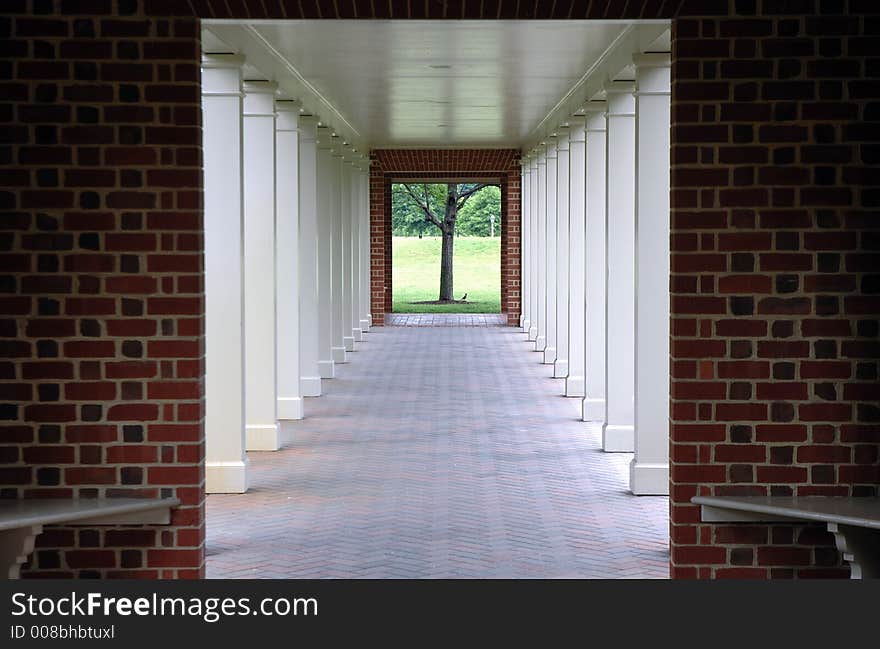 Outdoor walkway that ends in an open view of a field.  The bird at the base of the tree provided an excellent opportunity for this architecture to nature shot. Outdoor walkway that ends in an open view of a field.  The bird at the base of the tree provided an excellent opportunity for this architecture to nature shot.