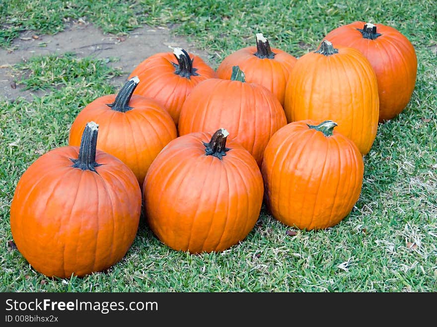 Bunch of orange pumpkins