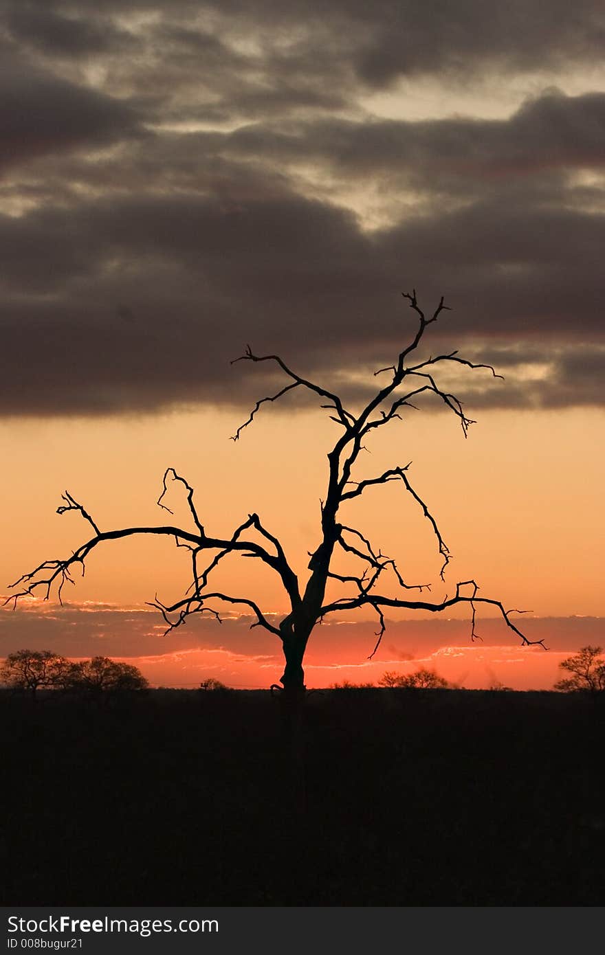 Sunset in kruger park south africa