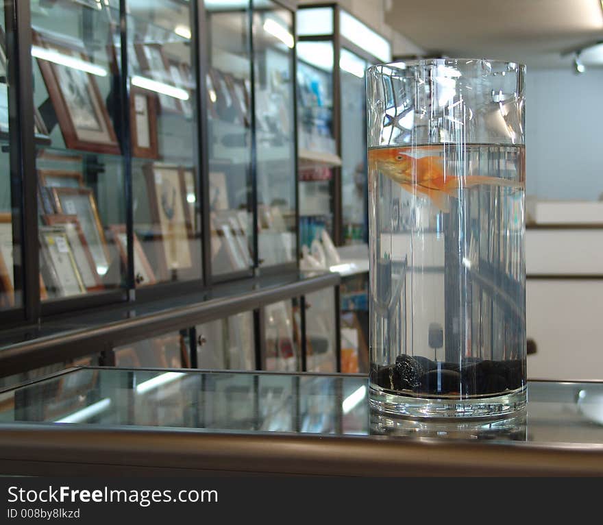 Gold fish in aquarium in fotoshop with glass stands