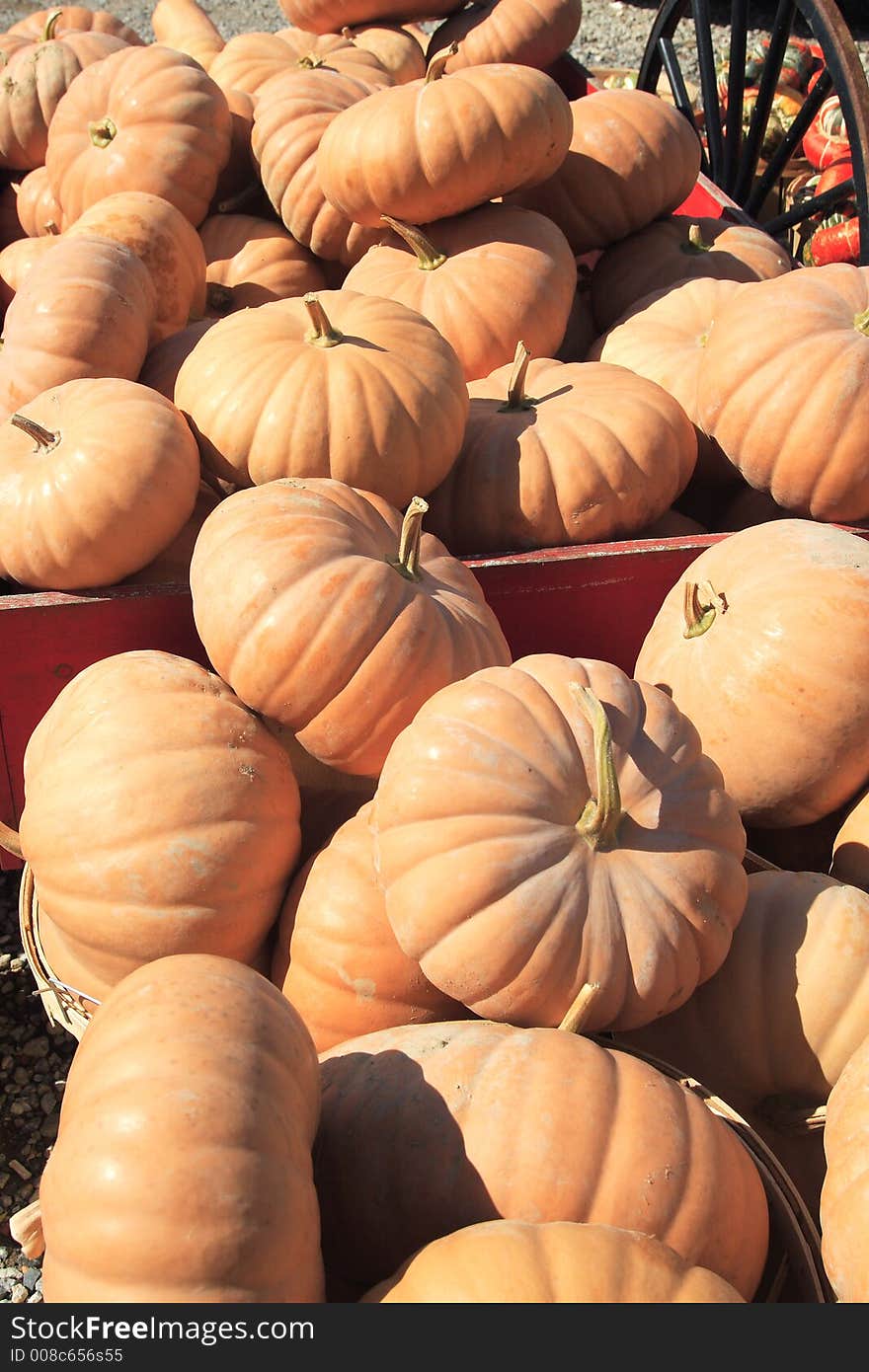 Autumn squash at a farm stand. Autumn squash at a farm stand