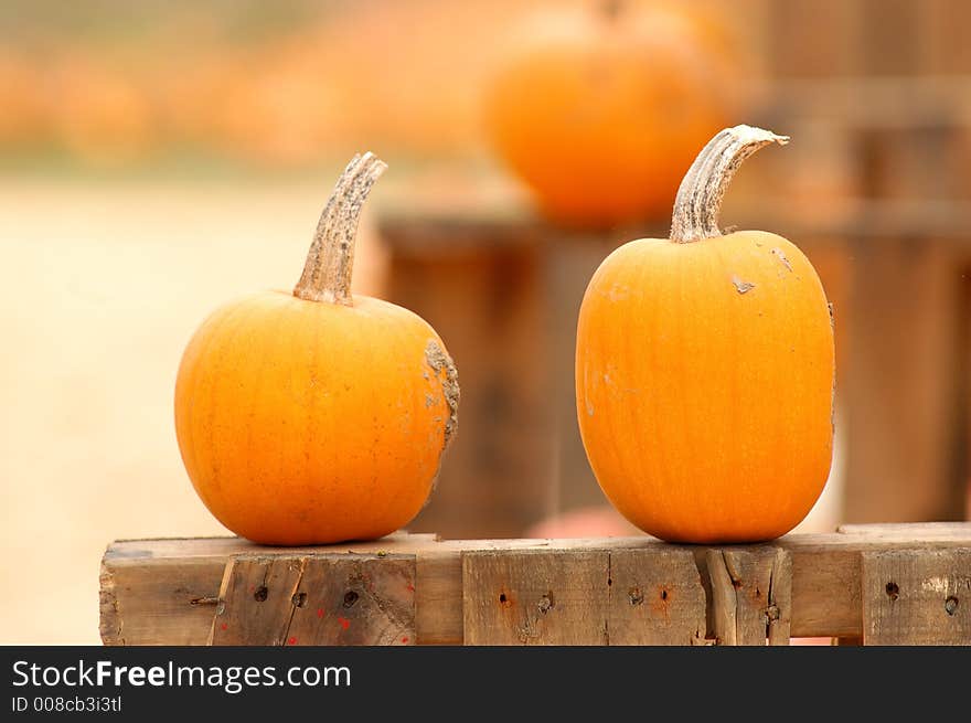 Two pumkin sitting in a roll. Two pumkin sitting in a roll