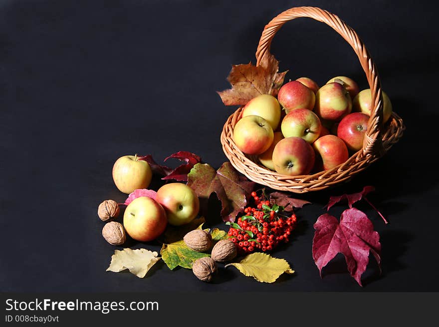 Thanksgiving basket with apples,nuts and rowan. Thanksgiving basket with apples,nuts and rowan