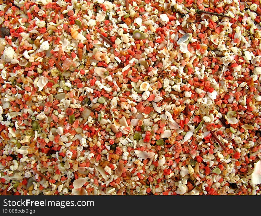 The closup of a beach with tiny shells. The closup of a beach with tiny shells