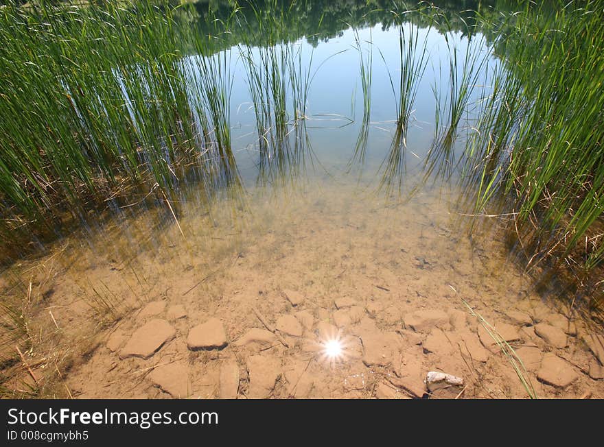 Lake with reeds and sun burst. Lake with reeds and sun burst