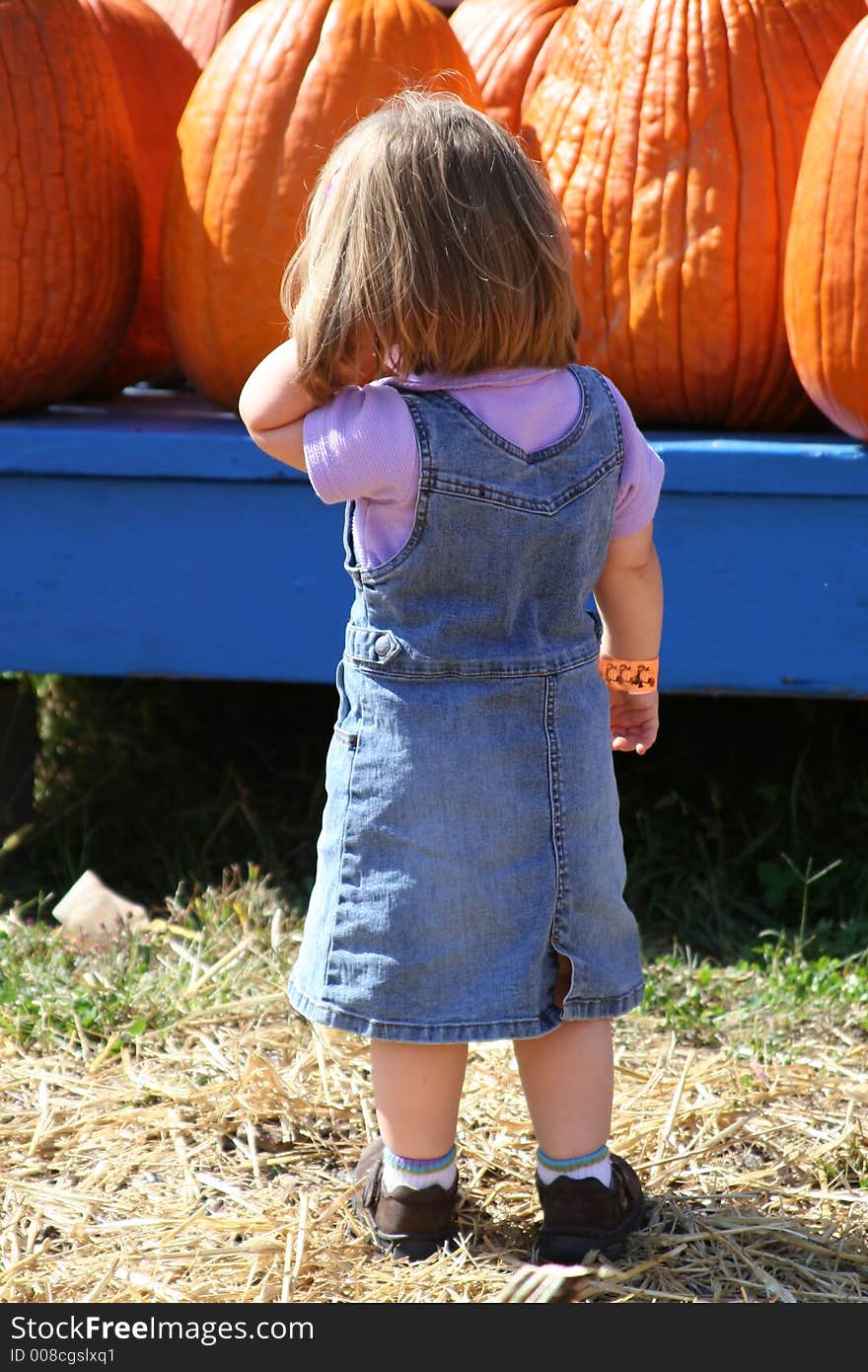 A little girl tries to pick the perfect pumpkin. A little girl tries to pick the perfect pumpkin.