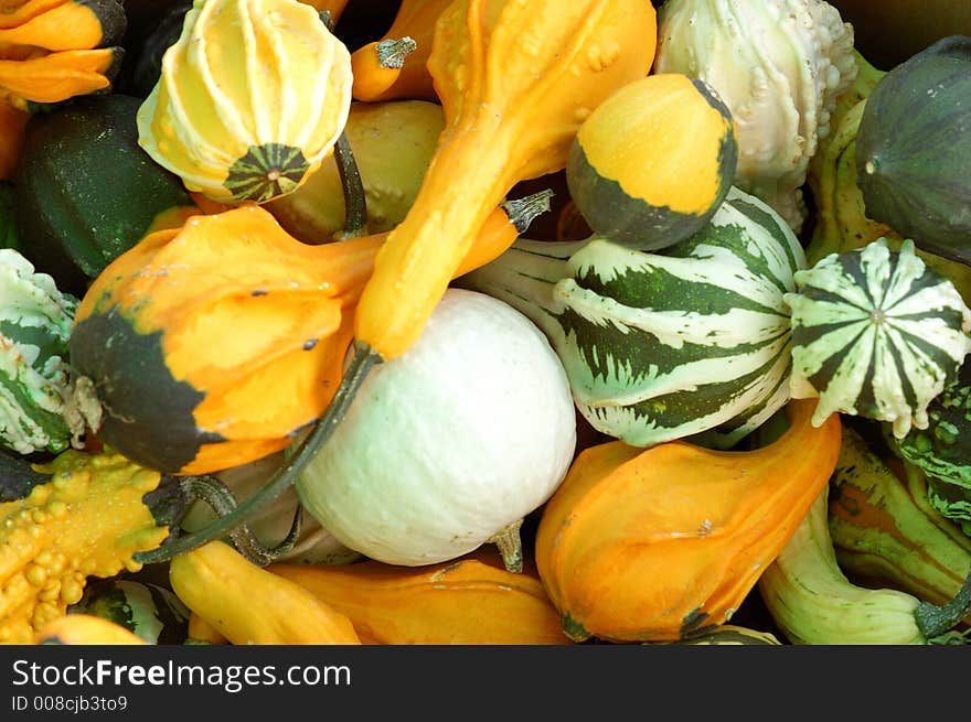 Squashes and gourds in a pile