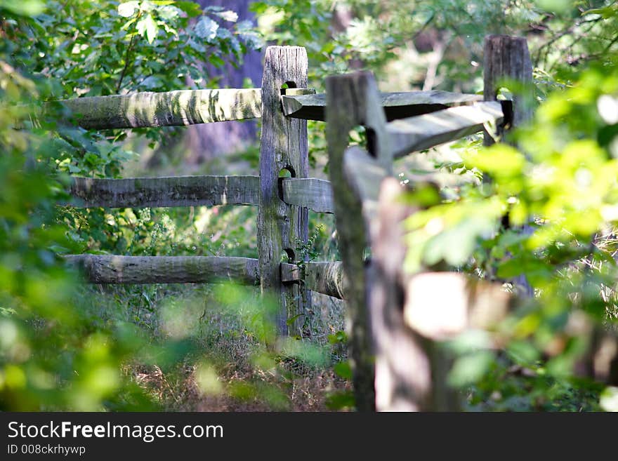 Weathered split rail fence on an overgrown farm