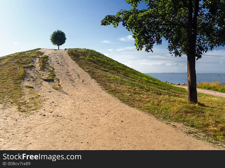 Ball tree on a hill. Ball tree on a hill