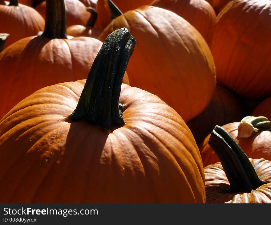 Pile of pumpkins on sale for Halloween.