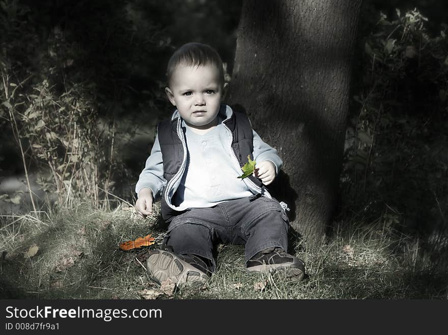 Adorable little boy playing in a park. Adorable little boy playing in a park