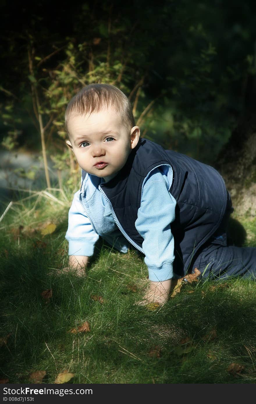 Adorable little boy playing in a park. Adorable little boy playing in a park