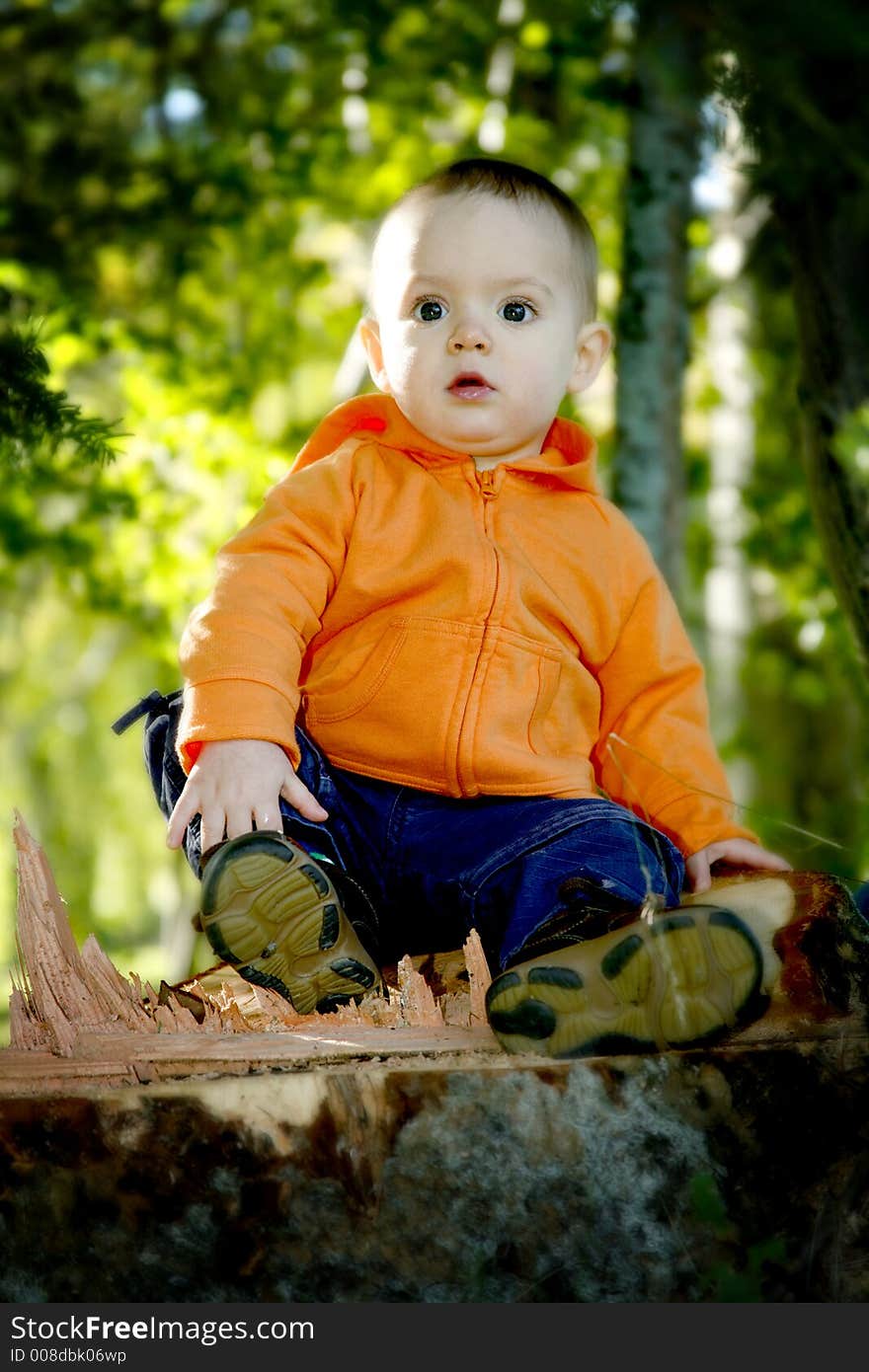 Adorable little boy playing in a park. Adorable little boy playing in a park