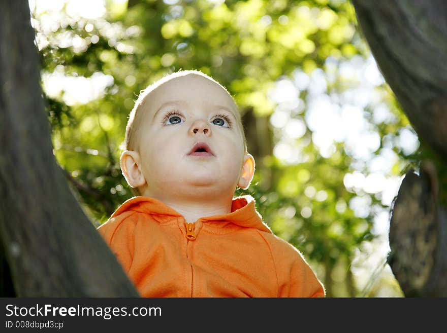 Adorable little boy playing in a park. Adorable little boy playing in a park