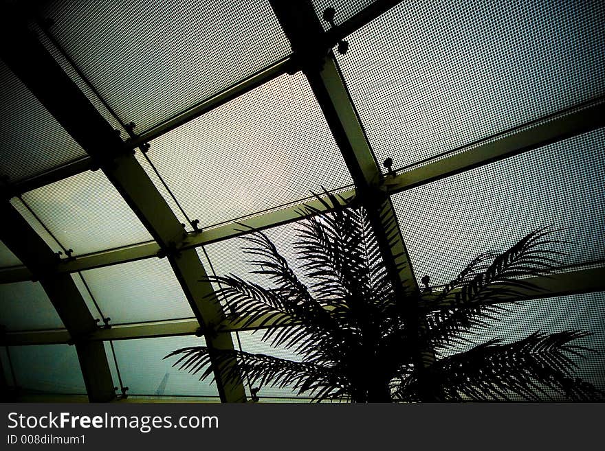 A palm silloutted against the moire pattern of the windows in Charles de Gaulle aiport. A palm silloutted against the moire pattern of the windows in Charles de Gaulle aiport.