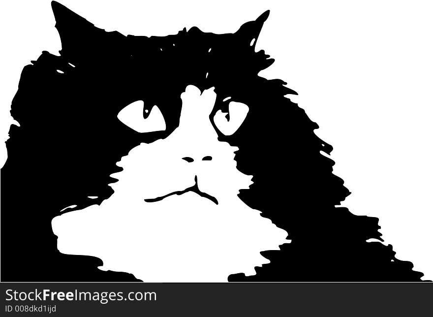 Vector Art work for a high contrast cat. Vector Art work for a high contrast cat