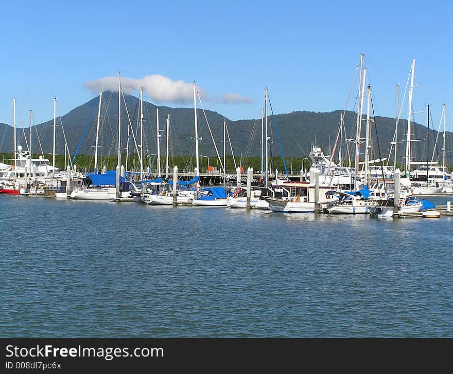 Docked yachts