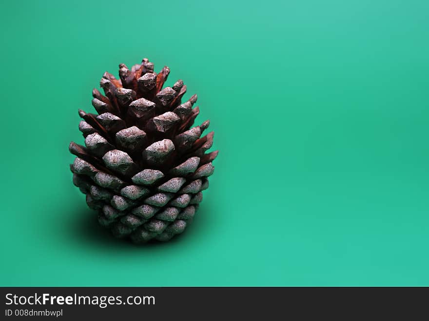 Perfect pinecone on a clean surface