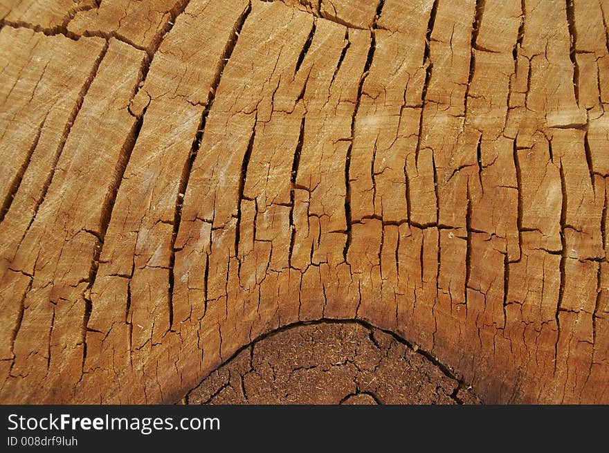 Brown wood texture for bascground. Brown wood texture for bascground