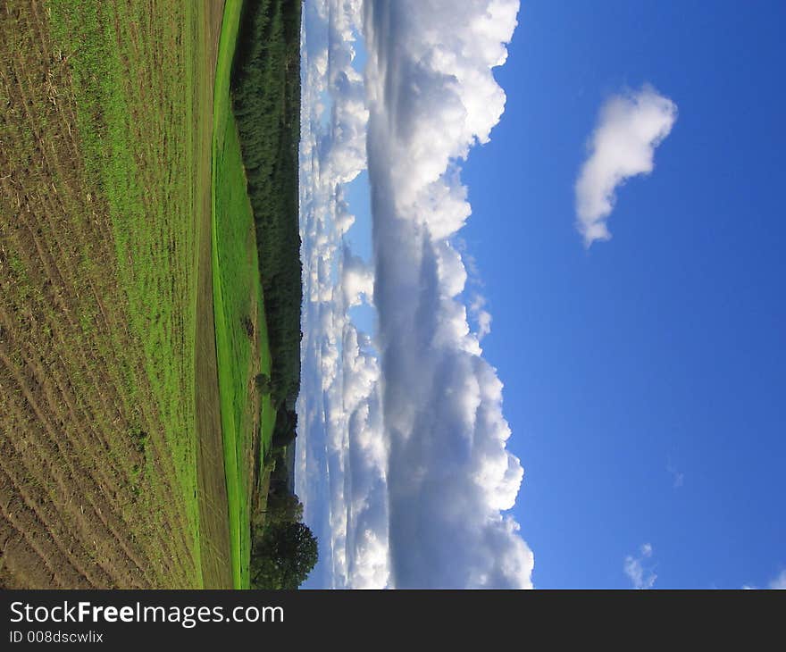 Green field