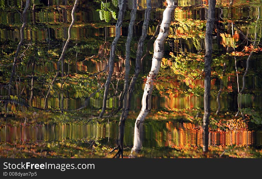 Autumn Lake reflection in Quebec