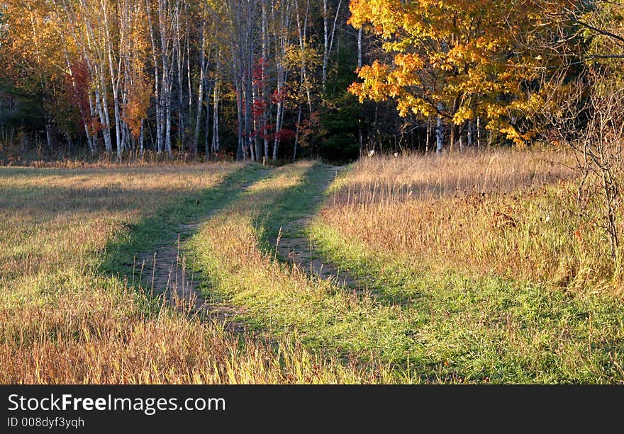 Road Across A Field