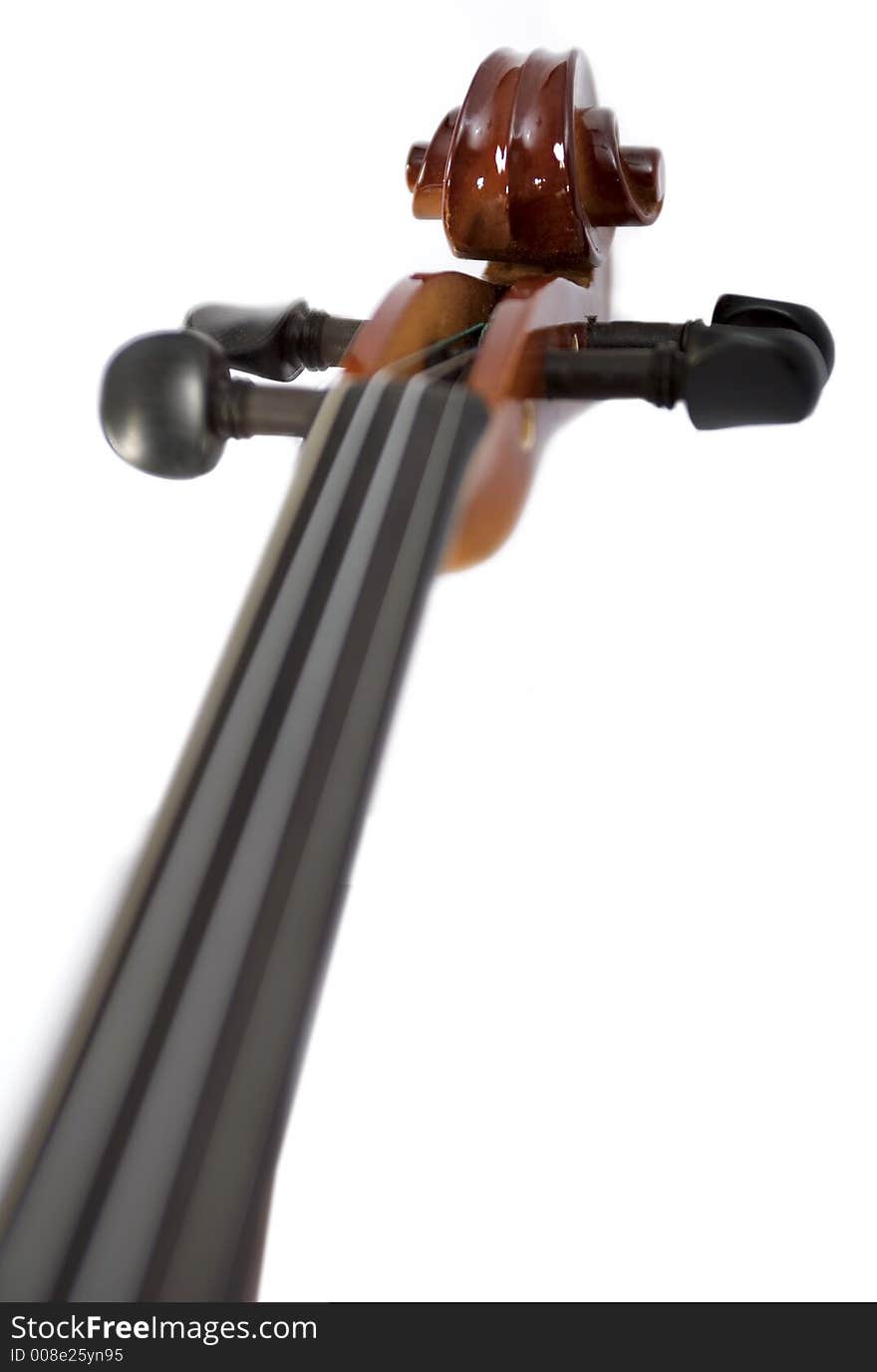 Violin