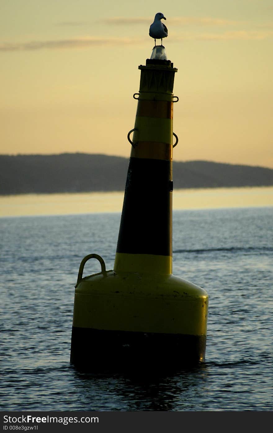 Picture of seagull sitting on sea mark. Picture of seagull sitting on sea mark.