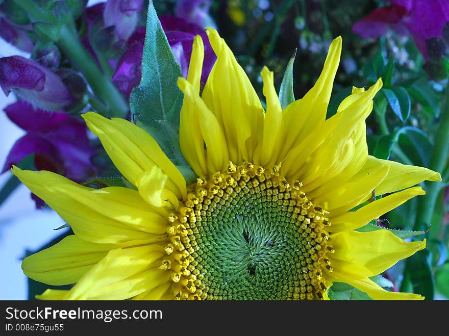 Vibrant color of a yellow flower. Vibrant color of a yellow flower