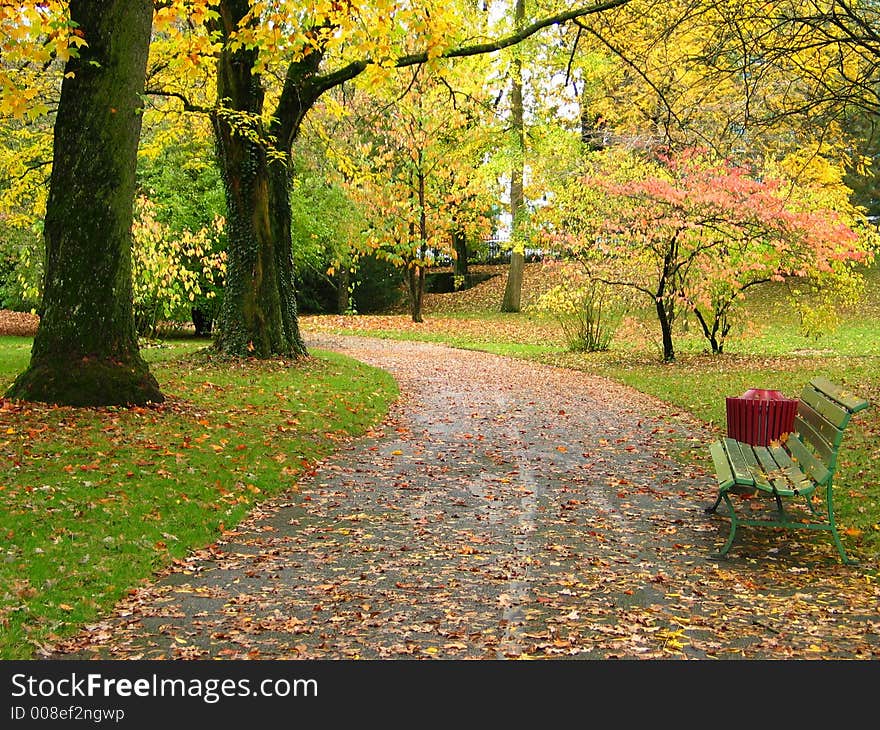 A Bench in a Park in Autumn