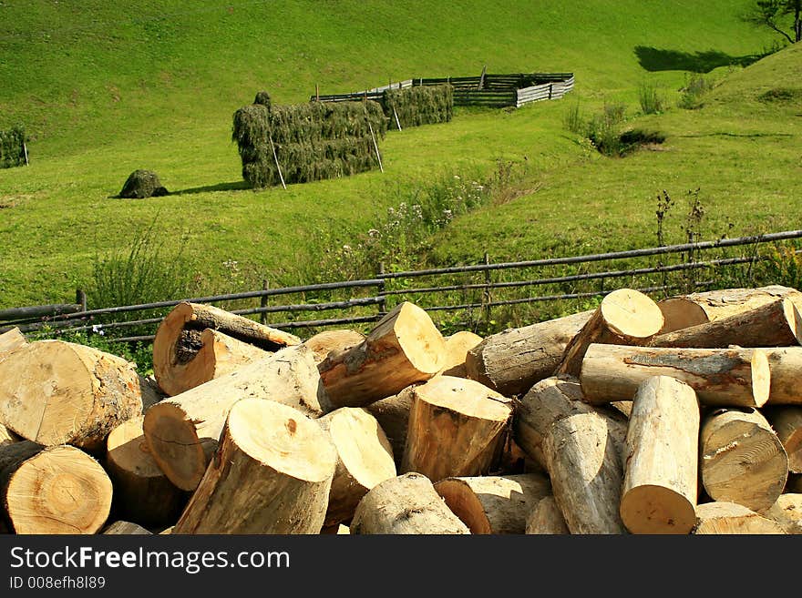 Fence showing the concept of protecting the nature from the forest cuttings. Fence showing the concept of protecting the nature from the forest cuttings