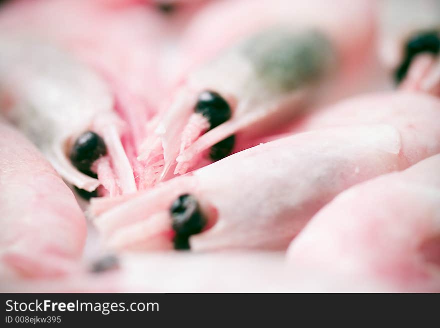 Closeup on a bunch of small shrimps, layed on a lightbox