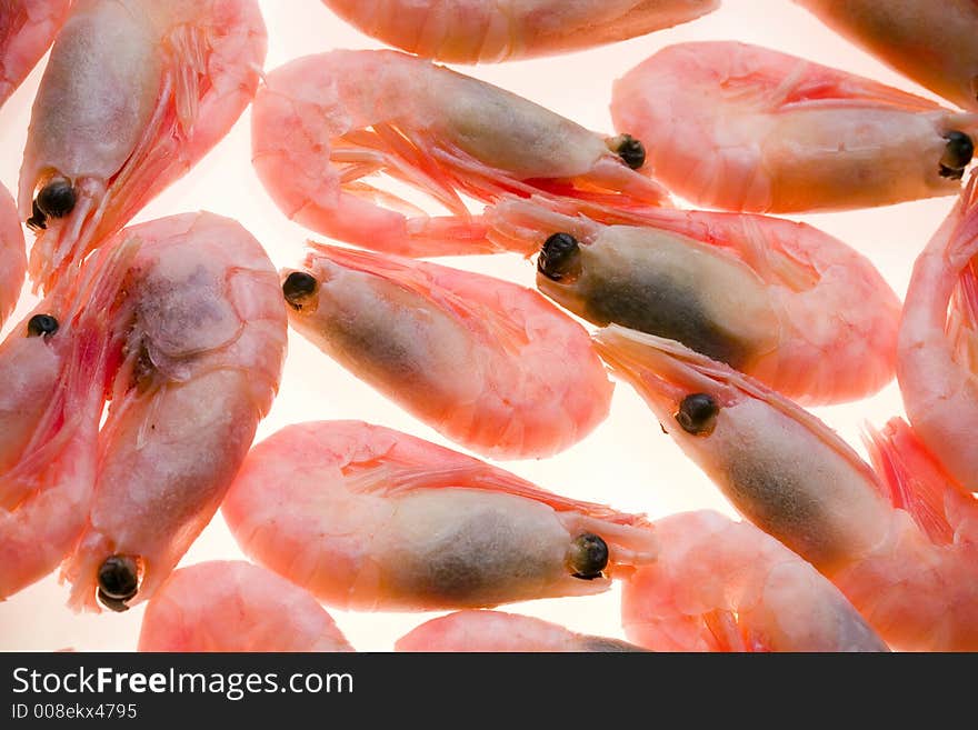 Closeup on a bunch of small shrimps, layed on a lightbox