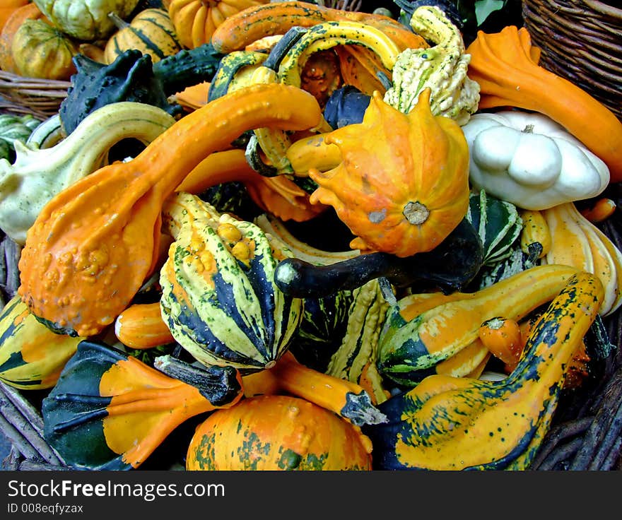 Bunch Of Pumpkins