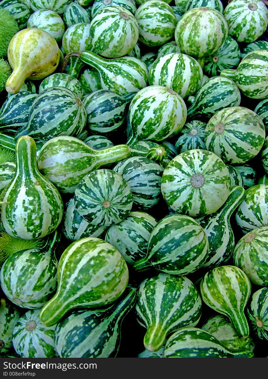 Green miniature pumpkins