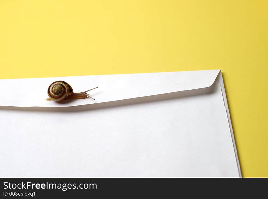 A snail crawls over an envelope to represent snail mail. A snail crawls over an envelope to represent snail mail.