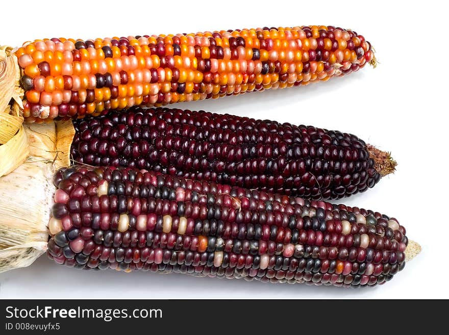 Three ears of Indian Corn shot over white. Three ears of Indian Corn shot over white